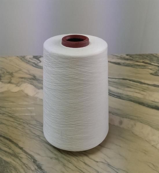 100% Polyester Ring Spun Yarn